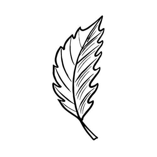 黑白创意简单叶子画，如何画出独特韵味？-图2