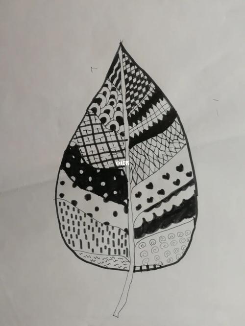 黑白创意简单叶子画，如何画出独特韵味？-图3
