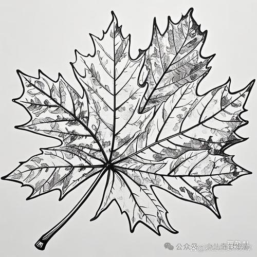 黑白创意简单叶子画，如何画出独特韵味？-图1