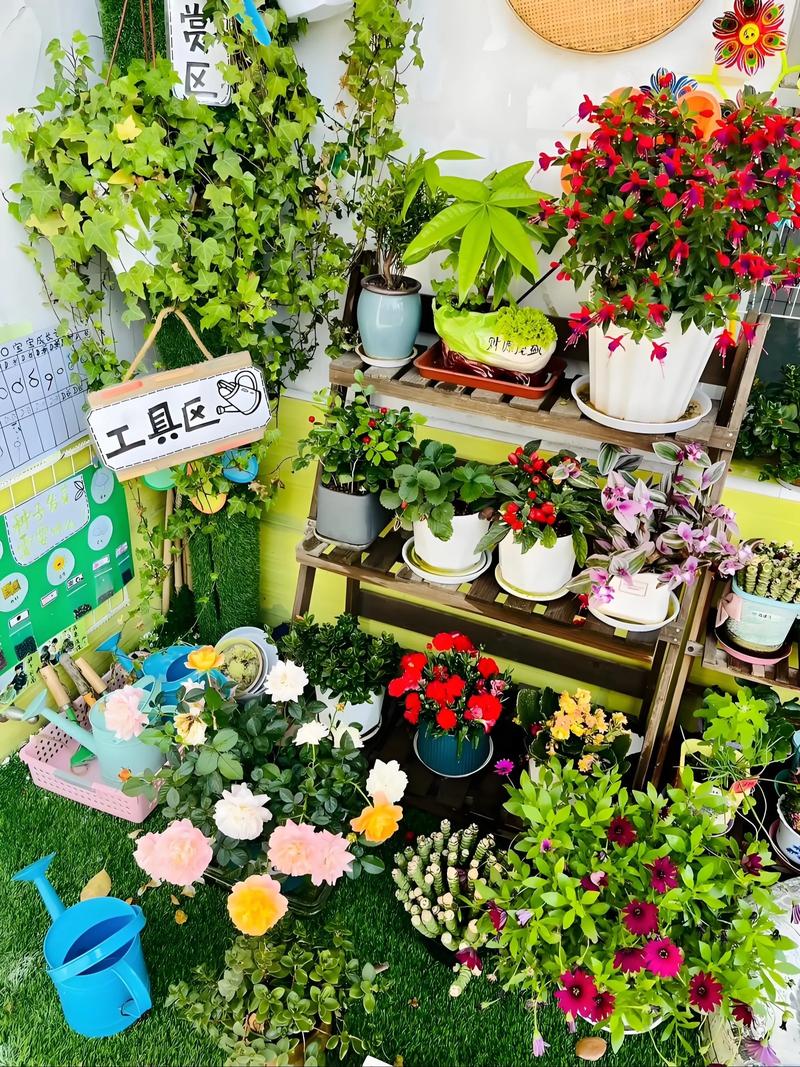 幼儿园植物角名称 创意-图3