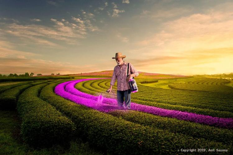 如何拍出让人过目不忘的摄影广告？-图3