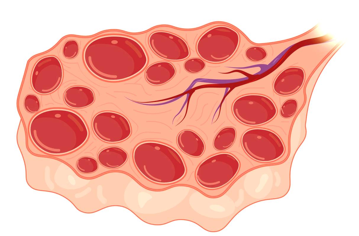 卵巢创意画?用身体作画有何深意?-图2 卵巢创意画?用身体作画有何深意?-图2