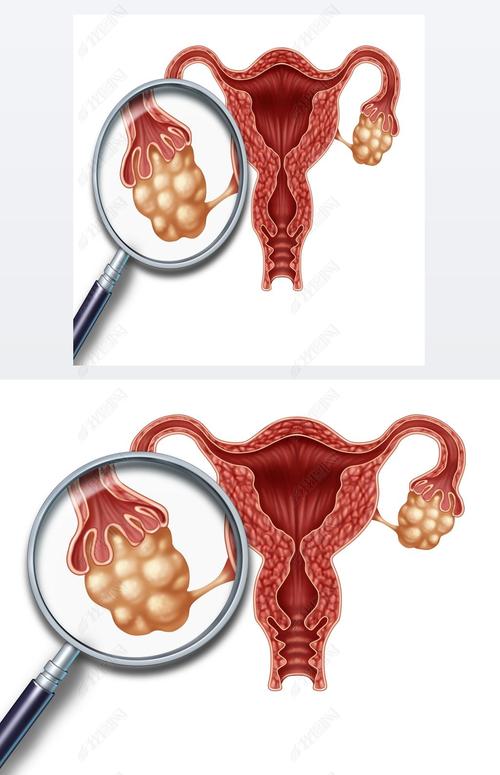 卵巢创意画?用身体作画有何深意?-图3 卵巢创意画?用身体作画有何深意?-图3