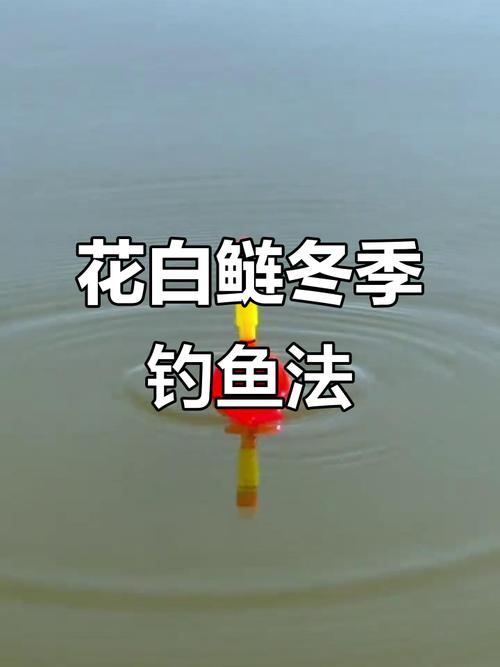 白露钓鱼，关键技巧有哪些？-图1