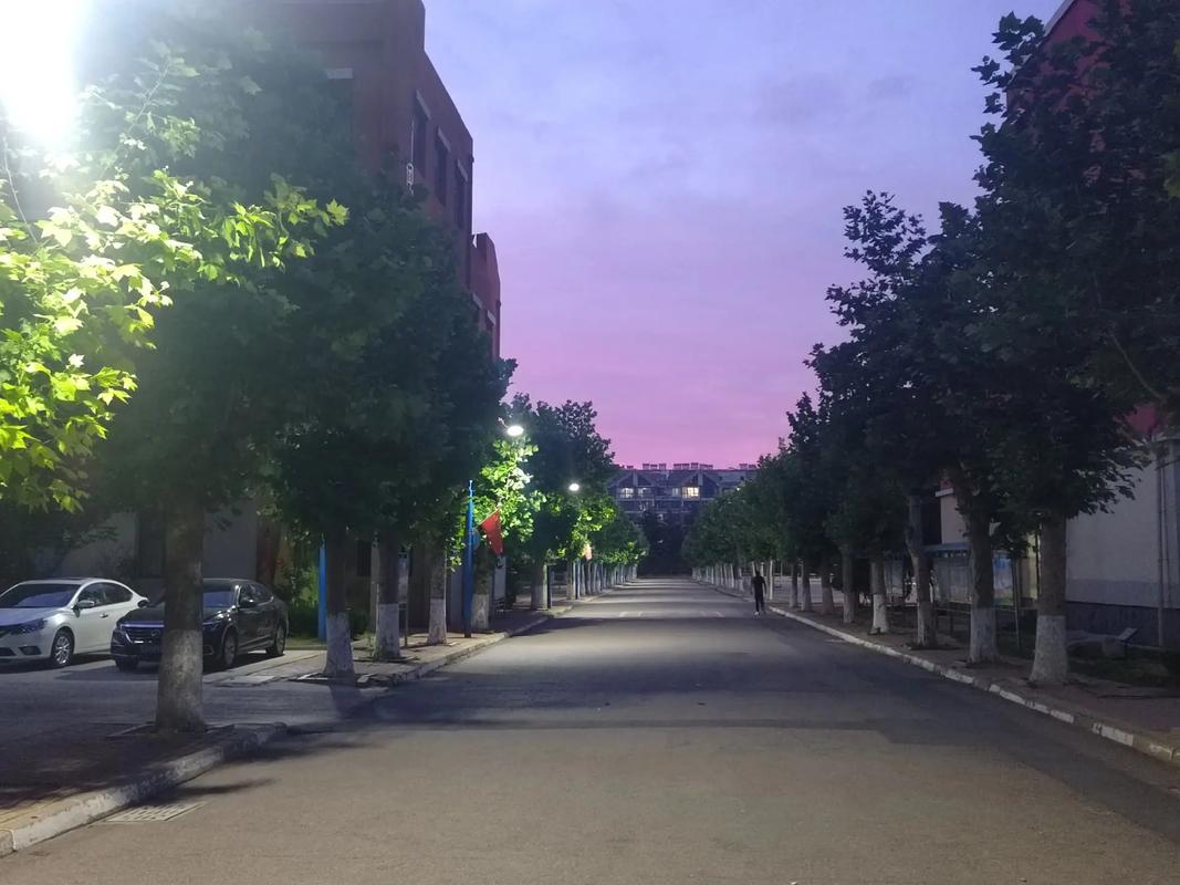 创意学校门牌-图2