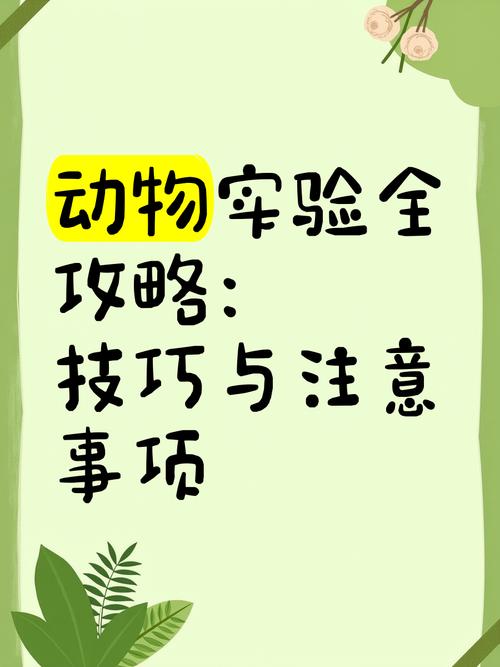 动物实验有哪些实用小技巧？-图1