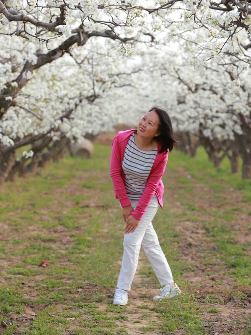 梨花人像摄影,如何拍出高级感?-图1 梨花人像摄影,如何拍出高级感?-图1