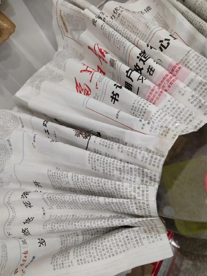 报纸秀创意，报纸秀手工制作-图1