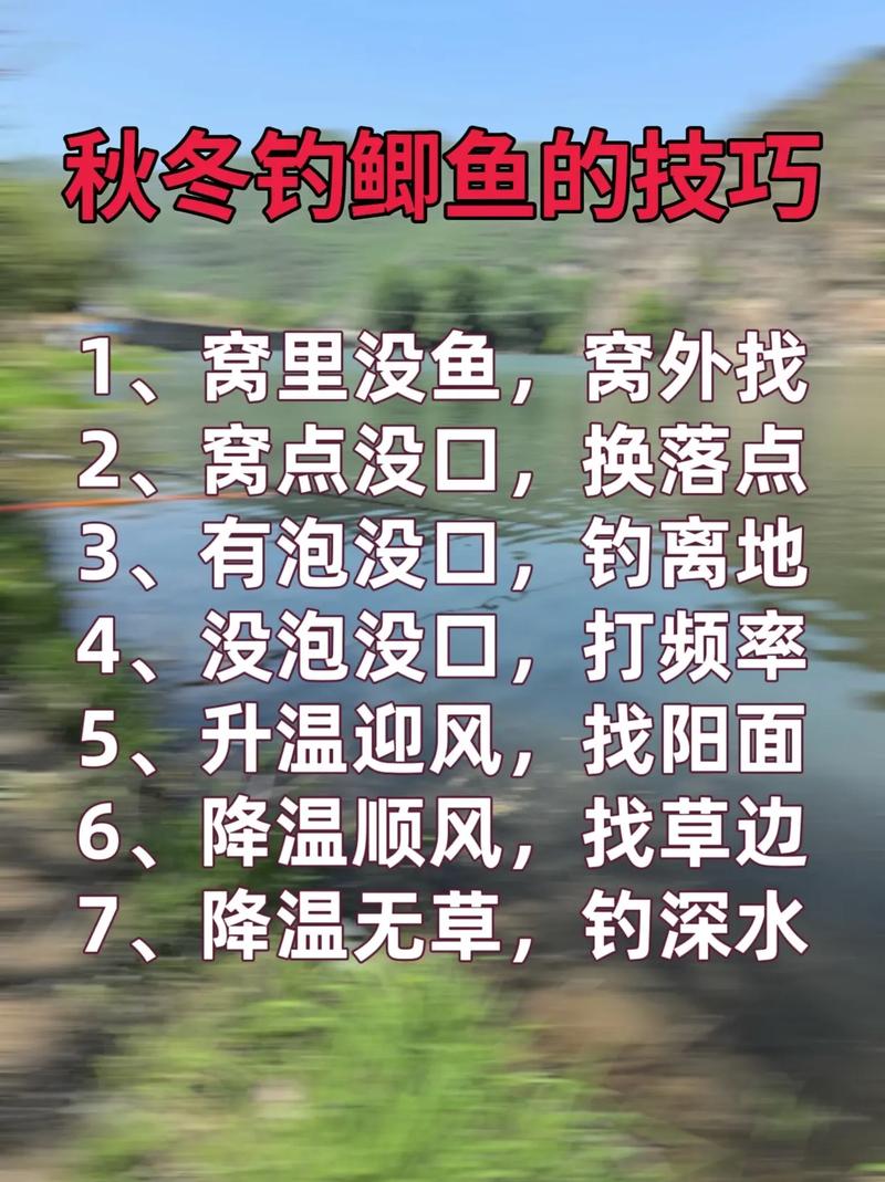 冬季池塘钓鲫鱼技巧有哪些？-图1