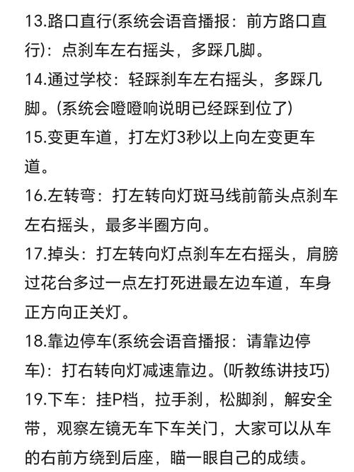 驾考科目三考试技巧，驾考科目三考试技巧视频-图2