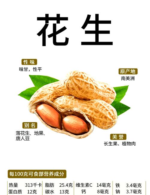 花生创意取名，如何巧思又独特？-图1