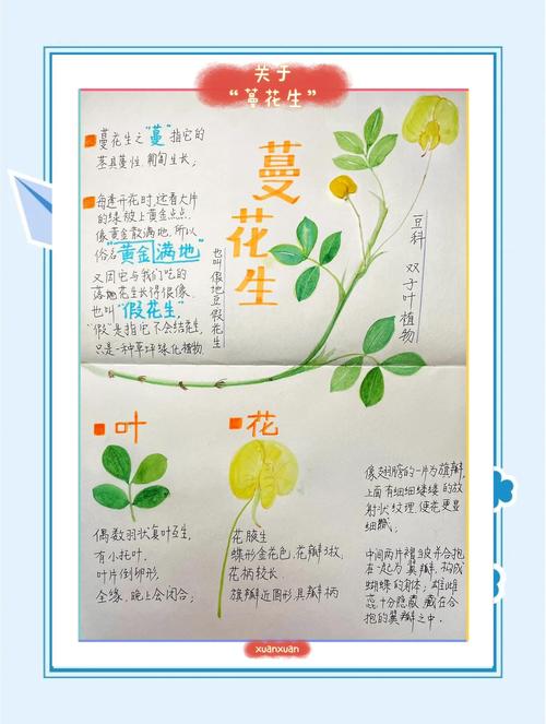 花生创意取名，如何巧思又独特？-图2