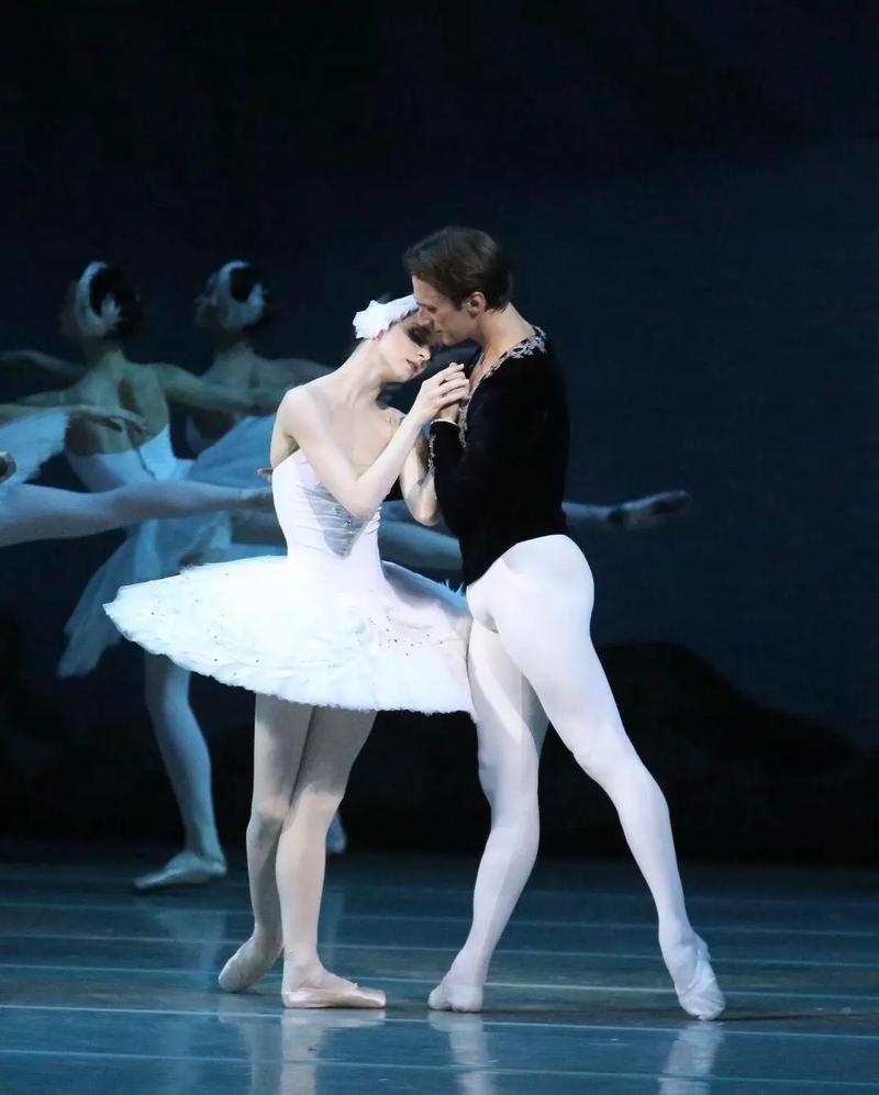 天鹅湖舞蹈技巧-图2