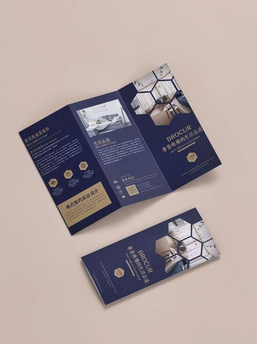 创意三折页设计欣赏-图3