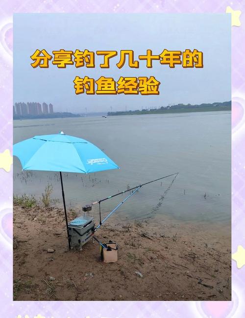 仲秋阴天钓鱼技巧-图2