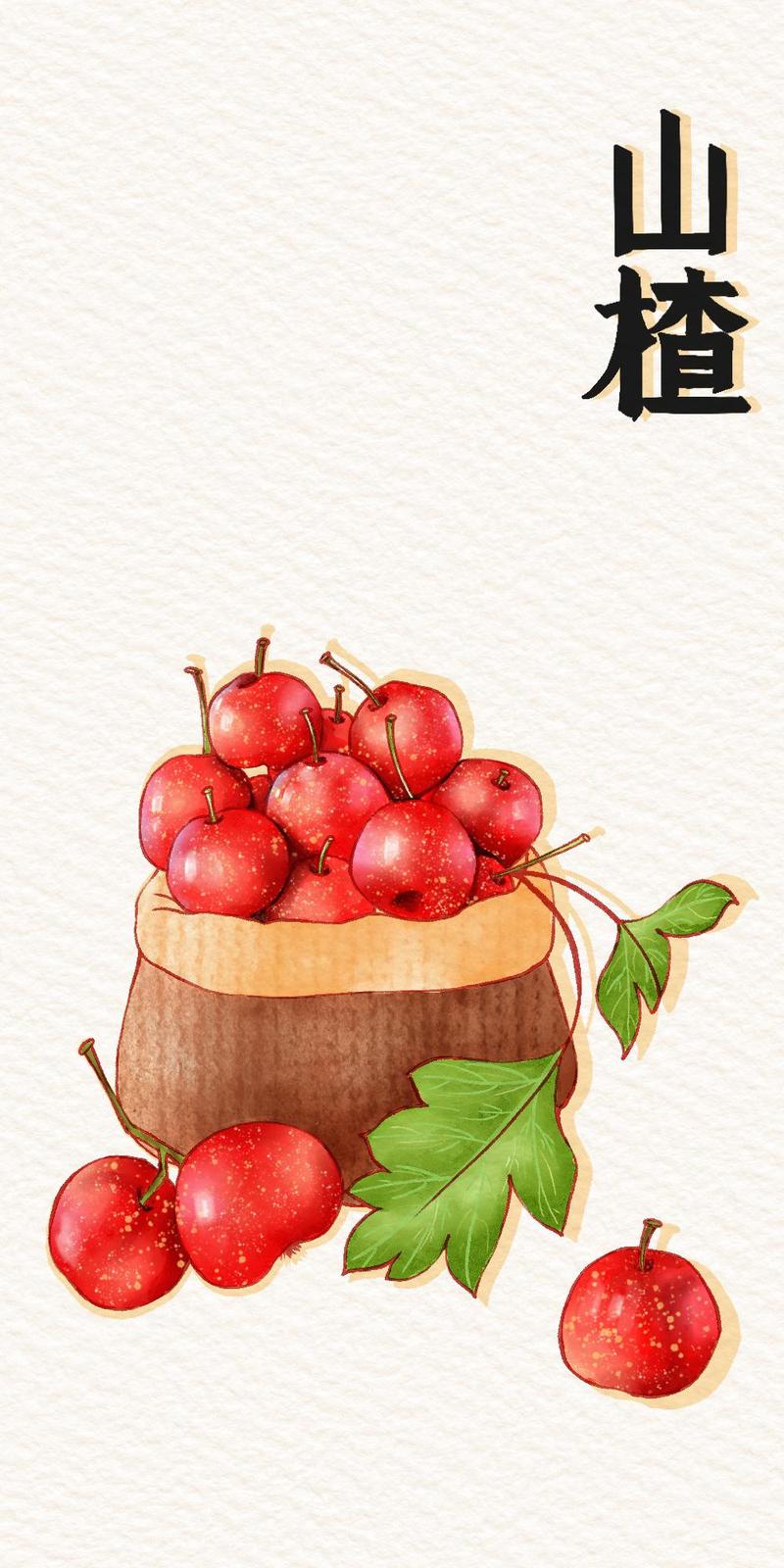 山楂创意图-图2 山楂创意图-图2