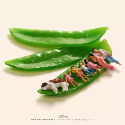 微创意摄影-图1 微创意摄影-图1