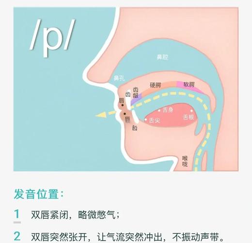 咽部发音技巧-图3 咽部发音技巧-图3