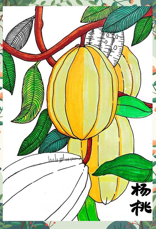 杨桃创意-图2 杨桃创意-图2