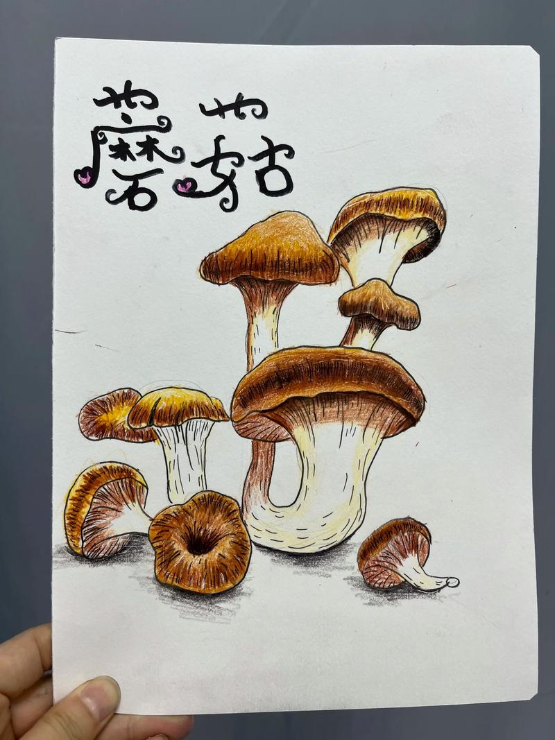 创意画蘑菇-图3