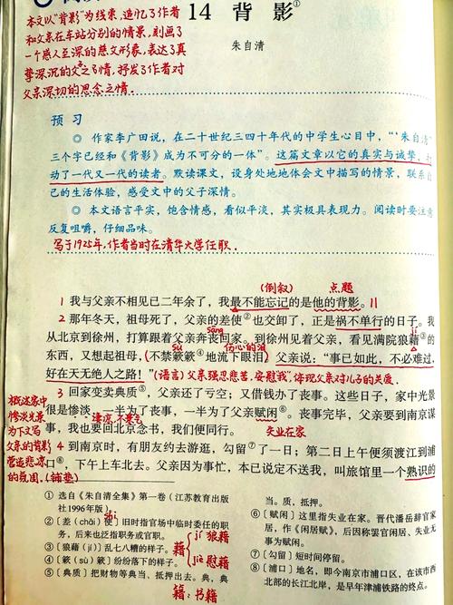 背影朗读的技巧-图1 背影朗读的技巧-图1