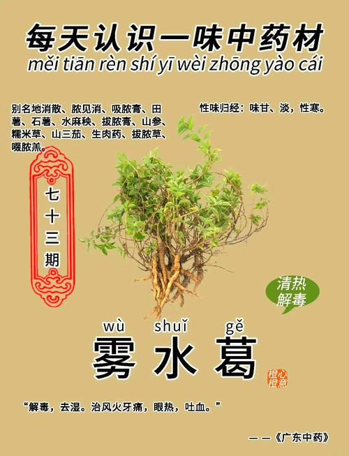 采葛表达技巧-图2