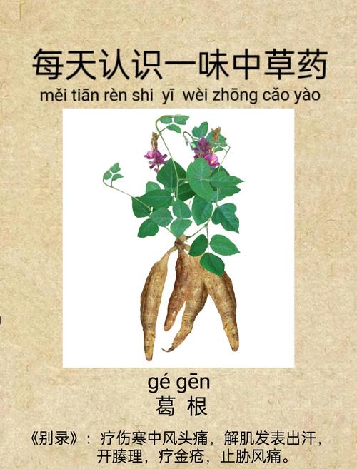 采葛表达技巧-图3