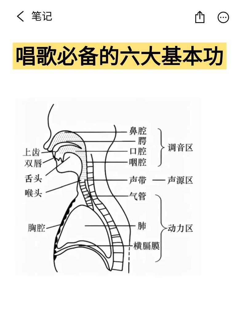 脱稿唱歌技巧-图2