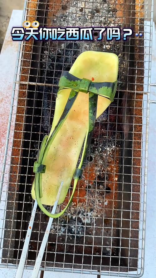 西瓜皮创意-图3