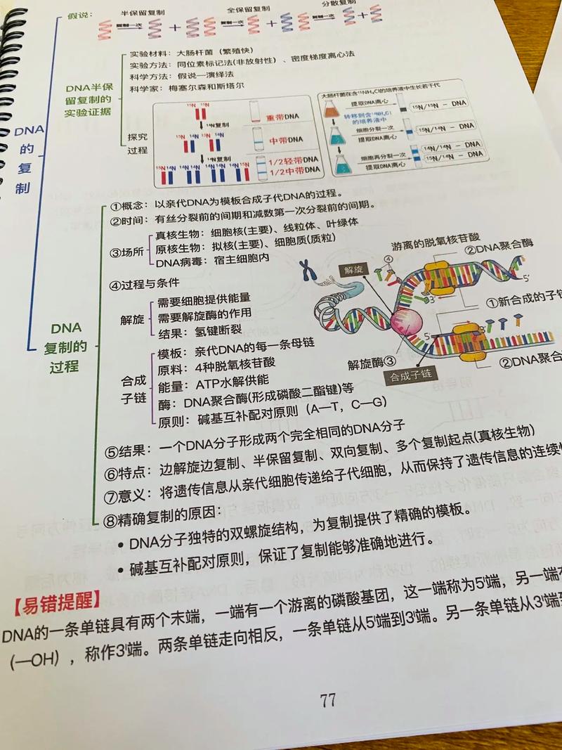 高中生物学习技巧-图3