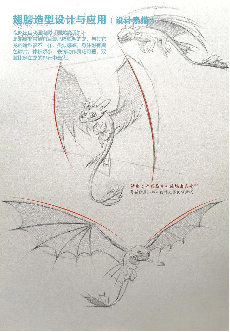 翅膀创意素描-图1