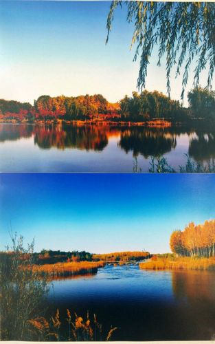 中学摄影比赛技巧-图3 中学摄影比赛技巧-图3