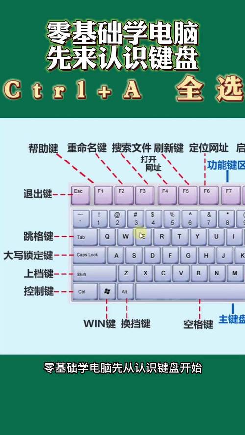 电脑画图技巧键盘-图3