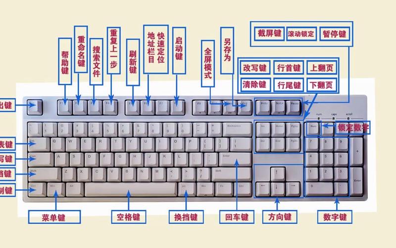 电脑画图技巧键盘-图2