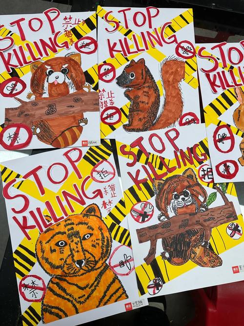 创意视频如何巧妙守护动物生命？-图3