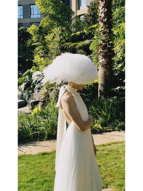 创意羽毛帽子-图1