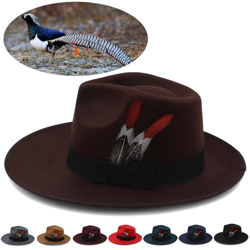 创意羽毛帽子-图2