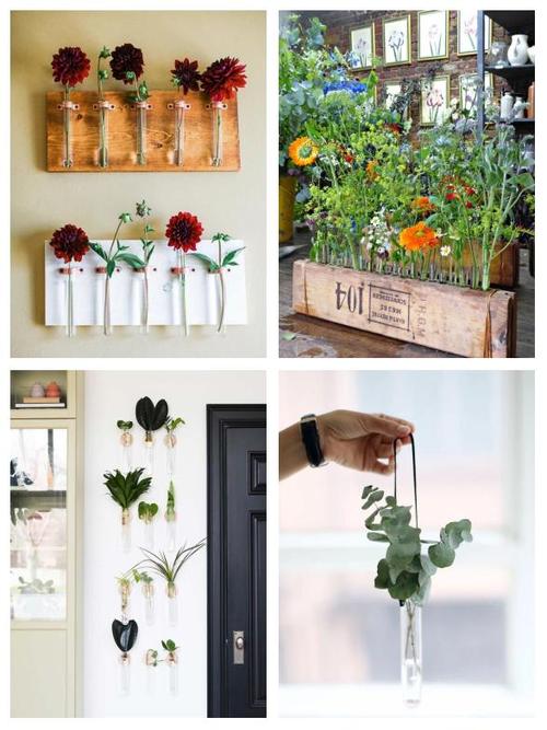 试管创意-图1 试管创意-图1