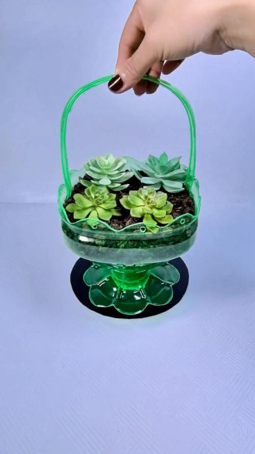 废塑料瓶创意手工花盆-图1