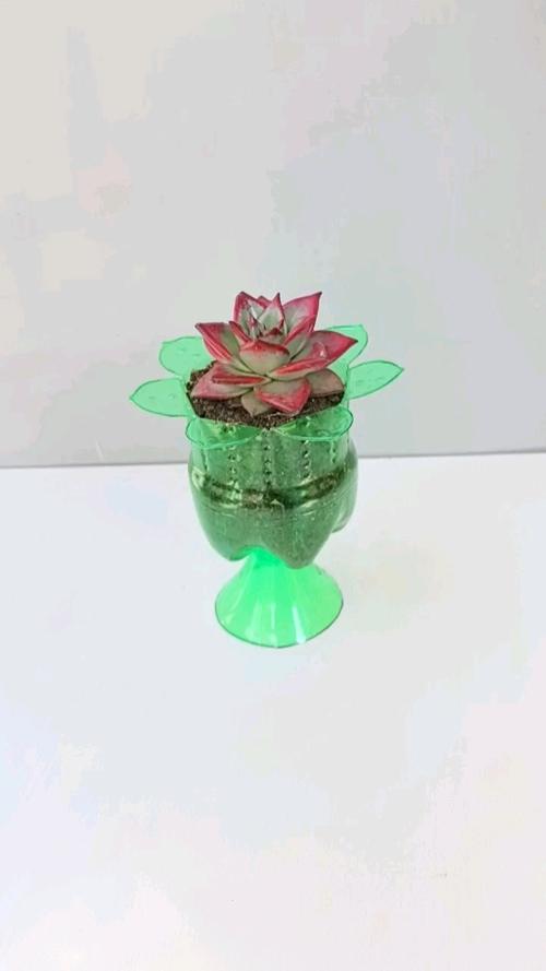 废塑料瓶创意手工花盆-图2