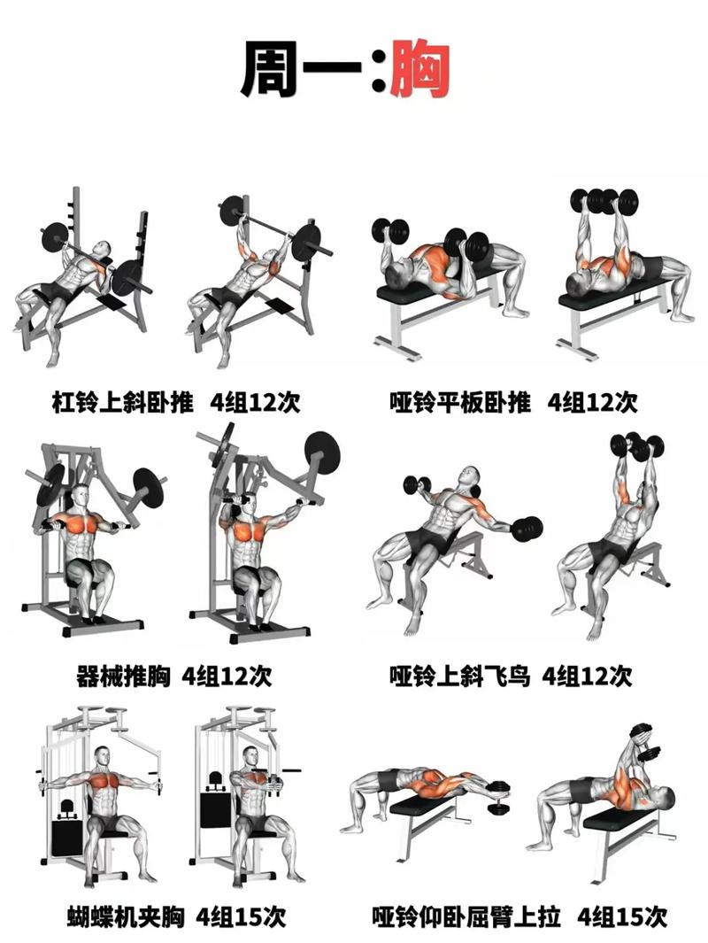 掰膀子技巧-图1