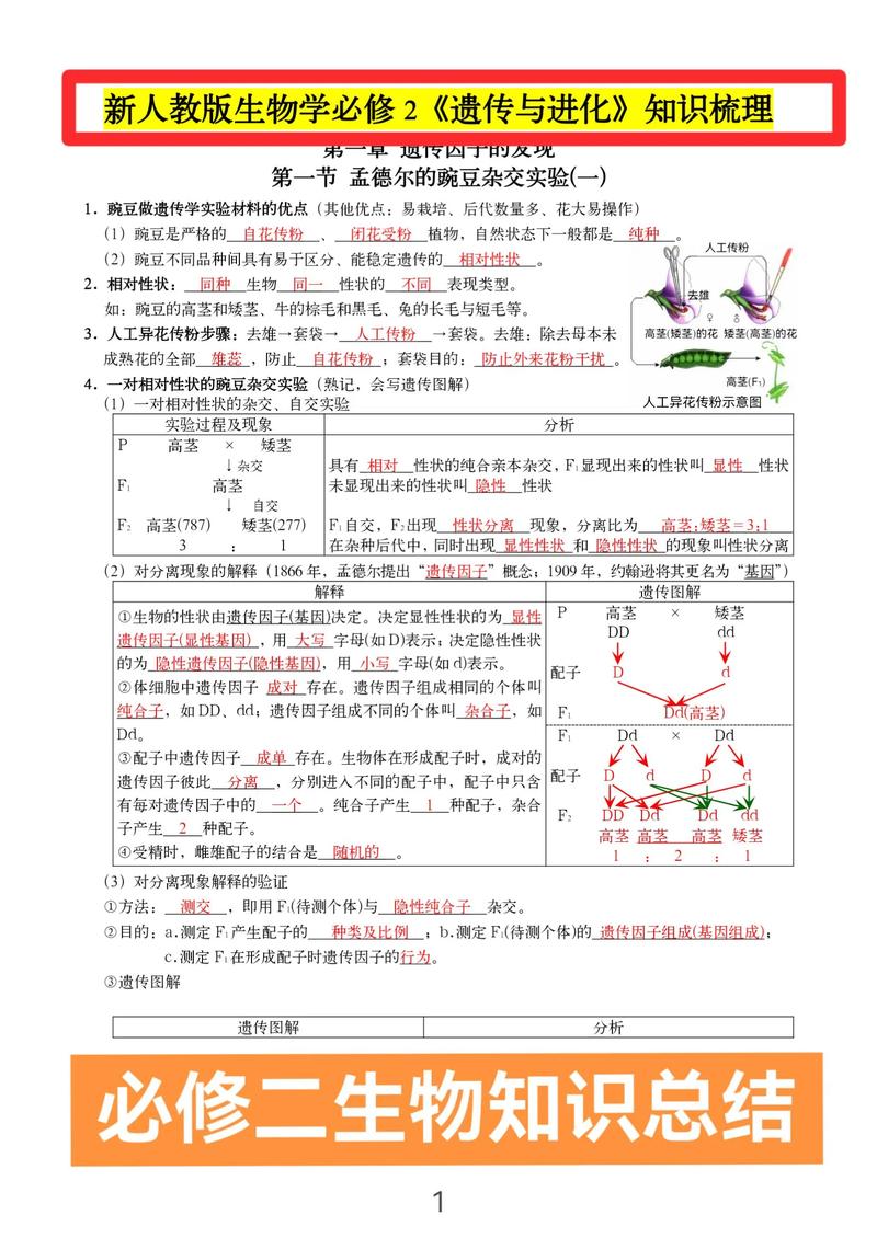 高高生物做题技巧-图3