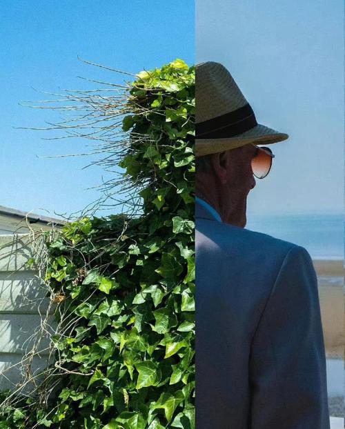 摄影创意拼图-图1