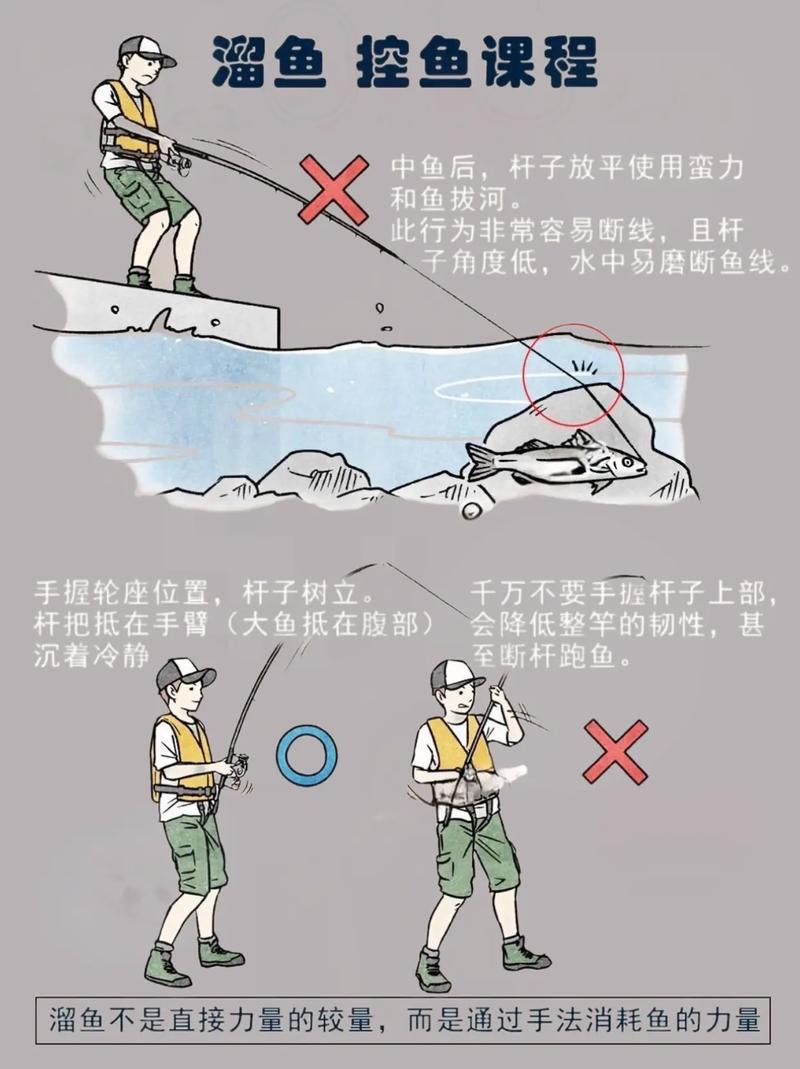 钓江鱼技巧-图3