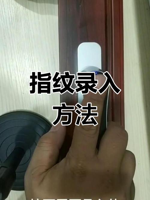 指纹仪录入技巧视频如何高效掌握？-图3