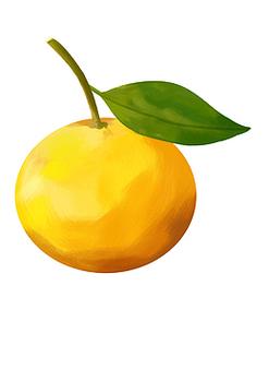 金桔创意,金桔创意画-图3 金桔创意,金桔创意画-图3