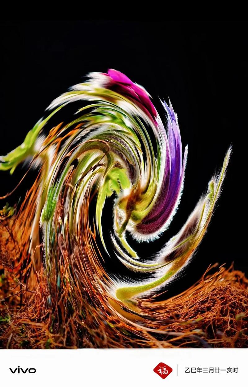 创意摄影作品网站，创意摄影作品网站推荐-图1