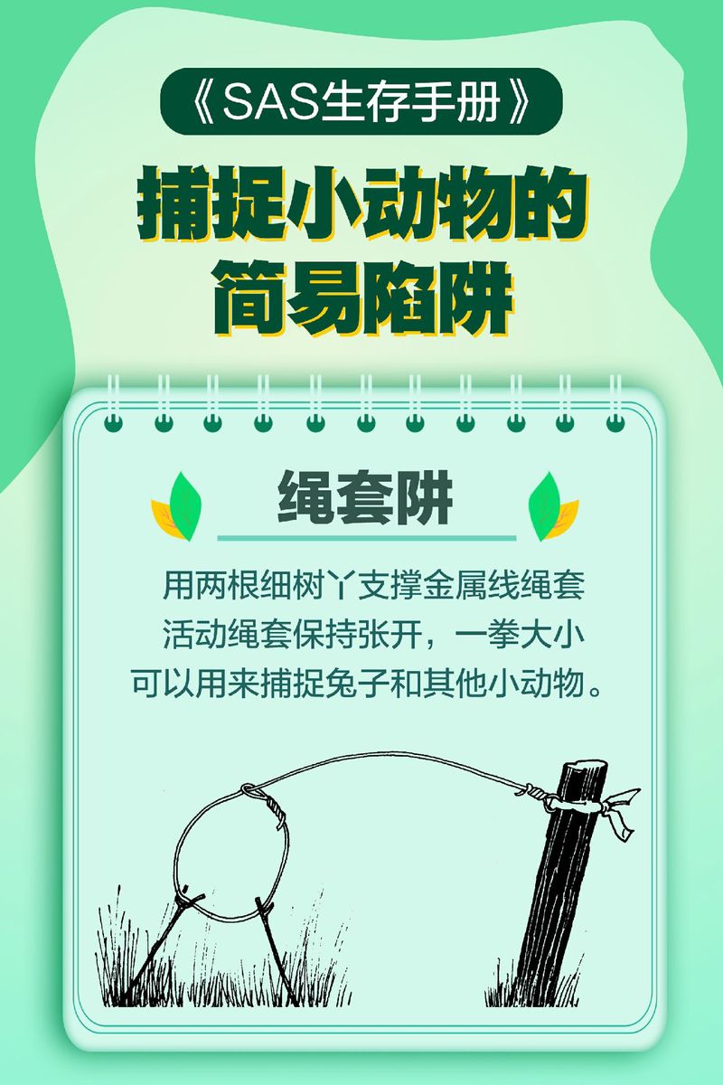 春季捕野兔技巧-图2