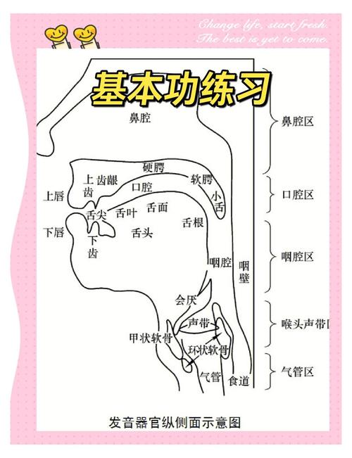 主持读音技巧-图1
