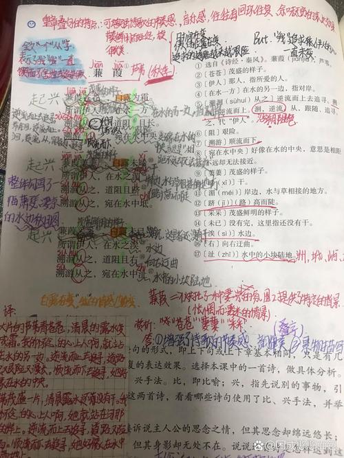 蒹葭诵读有何技巧？-图2